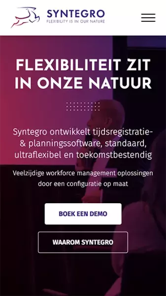 Syntegro homepage phone